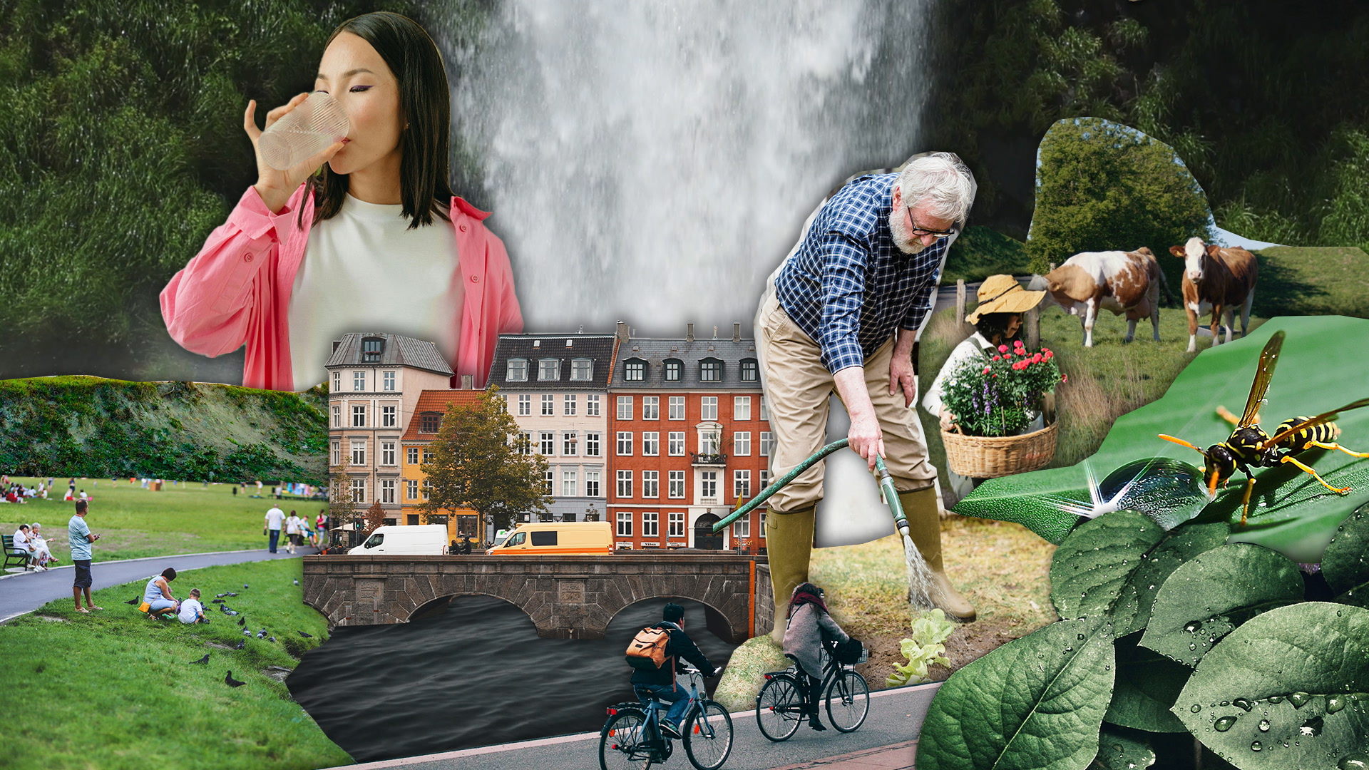 Stop motion l Oplysningskampagne